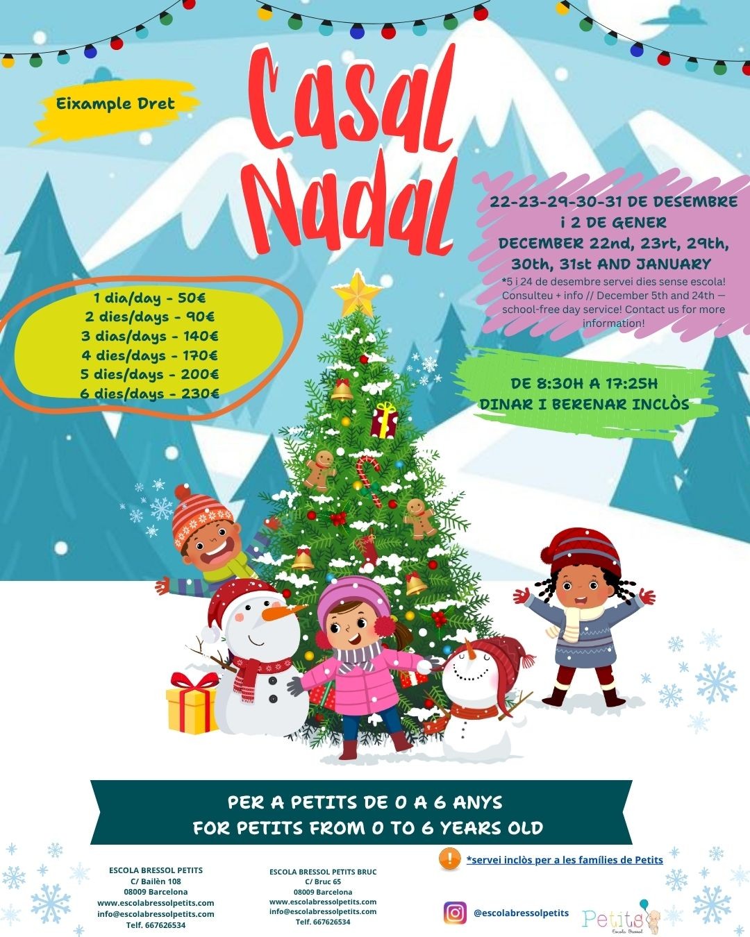 🎄✨ Christmas Camp at Petits! ✨🎄